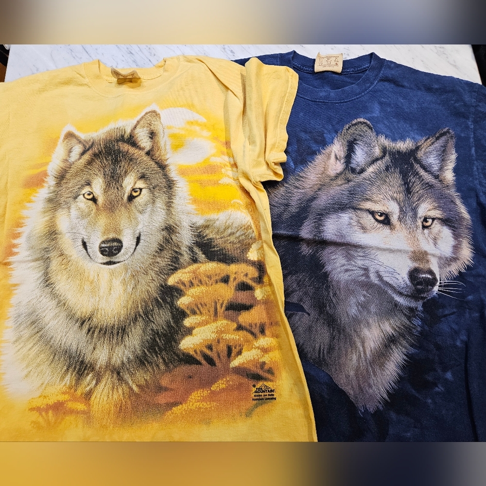The Mountain Vintage Tshirt Lot Men's Sz Medium‎